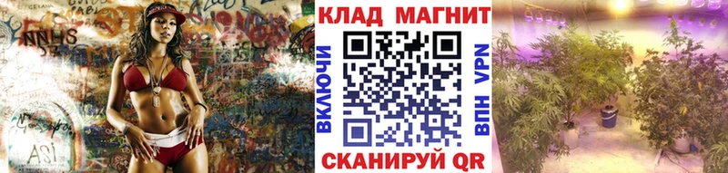Где найти наркотики Малаховка A PVP  Марихуана  Бутират  ГАШИШ  COCAIN  Меф  Галлюциногенные грибы 