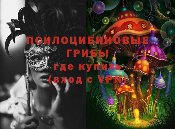 экстази Осташков