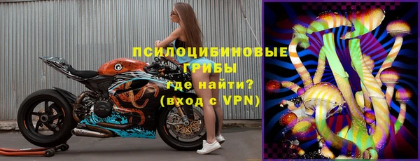 твердый Няндома