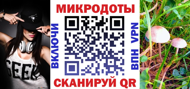 гидра вход  Малаховка  Псилоцибиновые грибы Magic Shrooms  купить наркоту 
